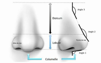 Conserver l&rsquo;apparence ethnique nez