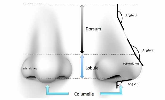 Conserver l’apparence ethnique nez