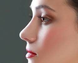 rhinoplastie quel nez choisir