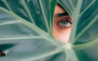prix chirurgie esthetique tunisie Prix chirurgie esthétique Tunisie 2023
