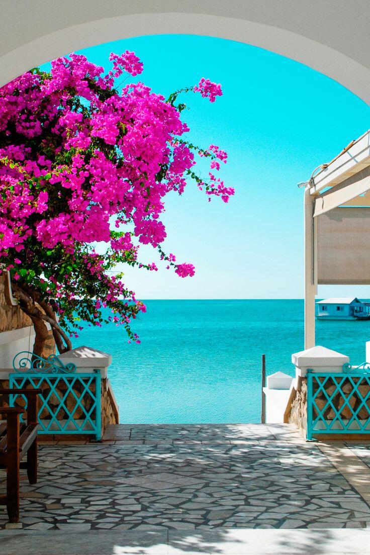 Gynécomastie tunisie