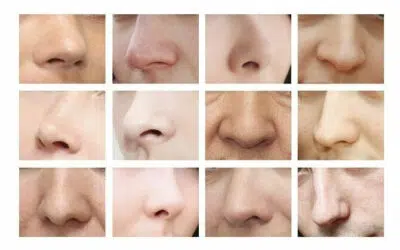 types de nez tunisie Différents types de nez, leurs imperfections spécifiques