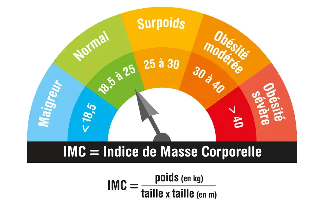 IMC Calcul de l'Indice de Masse Corporelle