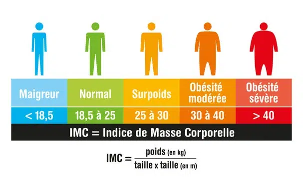 IMC  Calcul de l'Indice de Masse Corporelle