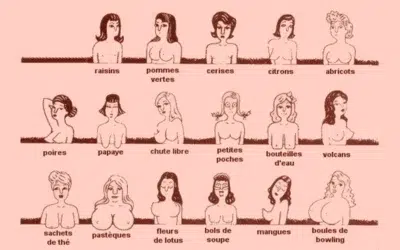 seins en poire 1 seins en poire